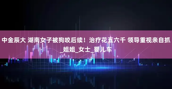 中金辰大 湖南女子被狗咬后续！治疗花五六千 领导重视亲自抓_姐姐_女士_婴儿车