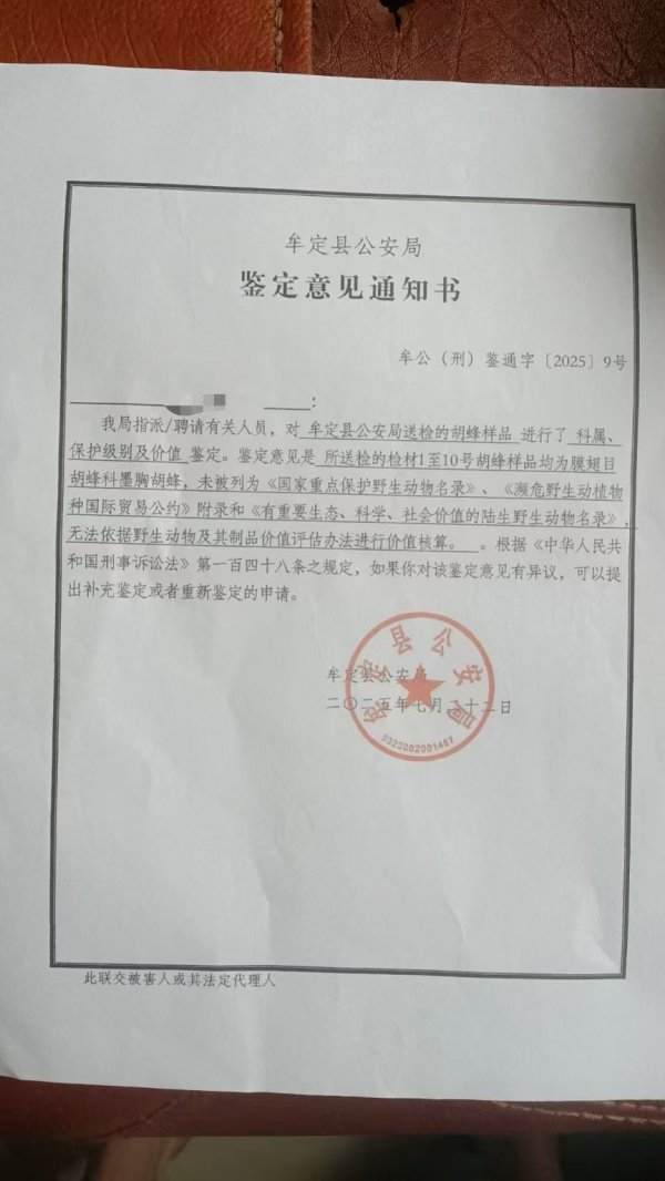 银易配资 伤口数百处！两兄妹被胡蜂蜇亡，养蜂人被立案